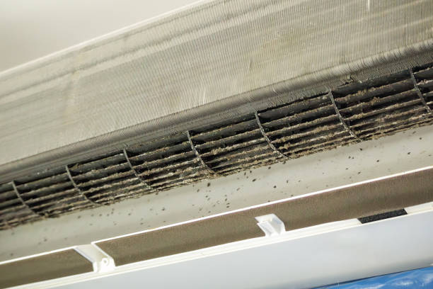 Best Air Vent Cleaning Services  in Ben Avon, PA